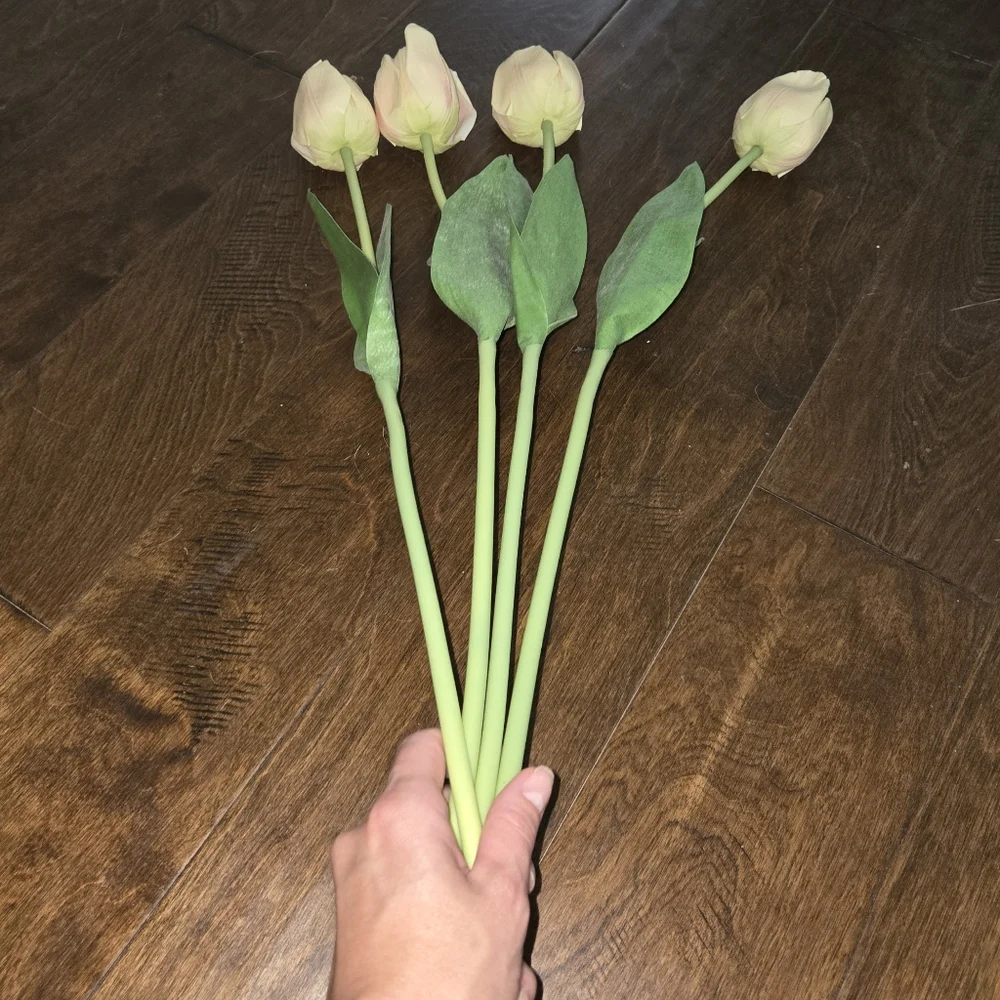 🌟Set Of 4 Elegant Cream Tulip Stems